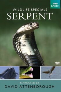 دانلود فیلم The Serpent 1973