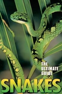 دانلود فیلم The Ultimate Guide: Snakes 1997