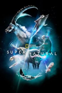 دانلود سریال Super/Natural